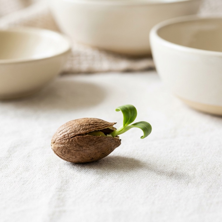 A sprouted seed with two green leaves on a linen tablecloth, ceramic bowls softly out of focus behind